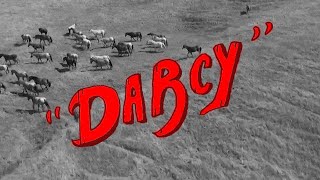 Gwenn Malick - Darcy (Official Music Video)