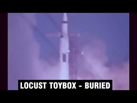 Locust Toybox - Buried