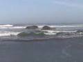 Vangelis - Dreams Of Surf - Infymus183c Vangelis - Dreams Of Surf