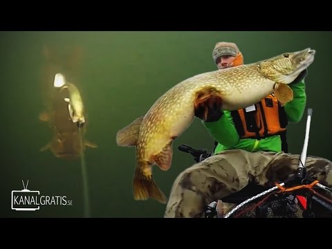 GIANT PIKE Underwater Strike!