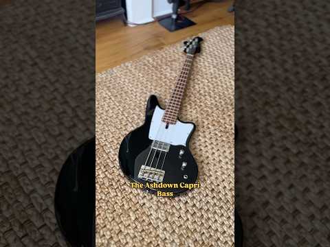 The coolest short scale bass I’ve ever owned!