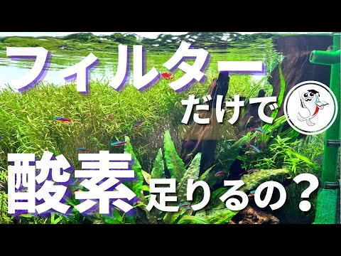 水槽の水が凍らないようにするにはどうすればよいですか?冬に幸せな鳥を育てるための簡単なヒント  庭園