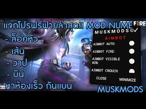 โปรฟีฟาย