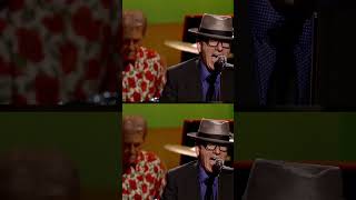 Elvis and The Imposters performing “Stella Hurt” live in 2011 #elvis #stellahurt #live #2011