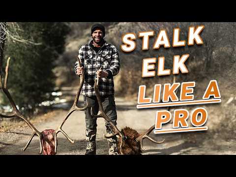 HOW A GUIDE Plans Stalks on Elk and Deer