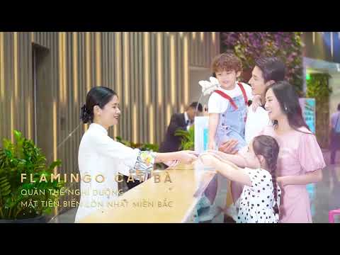 Video dự án 1