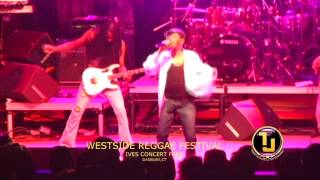 Download lagu Beres Hammond (I Feel Good) Live WestSide Reggae Festival at Ives Concert Park in Danbury, CT. mp3 Download lagu Beres Hammond (I Feel Good) Live WestSide Reggae Festival at Ives Concert Park in Danbury, CT. mp3