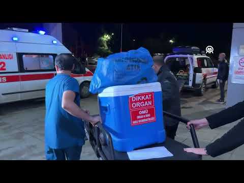 Beyin ölümü gerçekleşen kadının organları 3 hastaya umut oldu