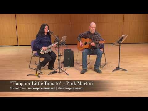 Promotional video thumbnail 2 for Micro Spice Music - Acoustic Duo
