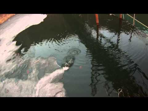 동교지 송어 스푼낚시 2013.03.08 0361 21번째 Trout Fishing GoPro