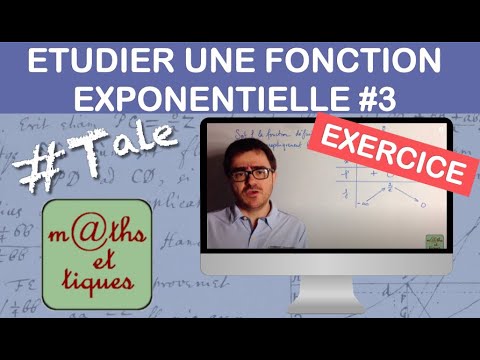 Studying a 3/3 exponential function: Representation - Terminale