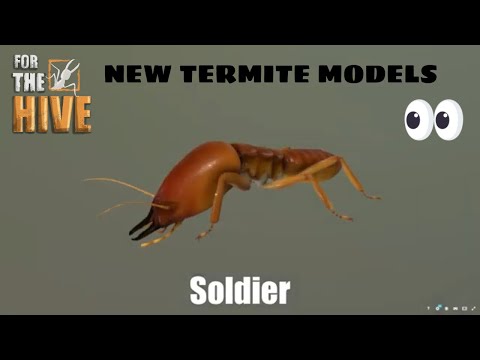 For The Hive Game: Termite Life Cycle Models