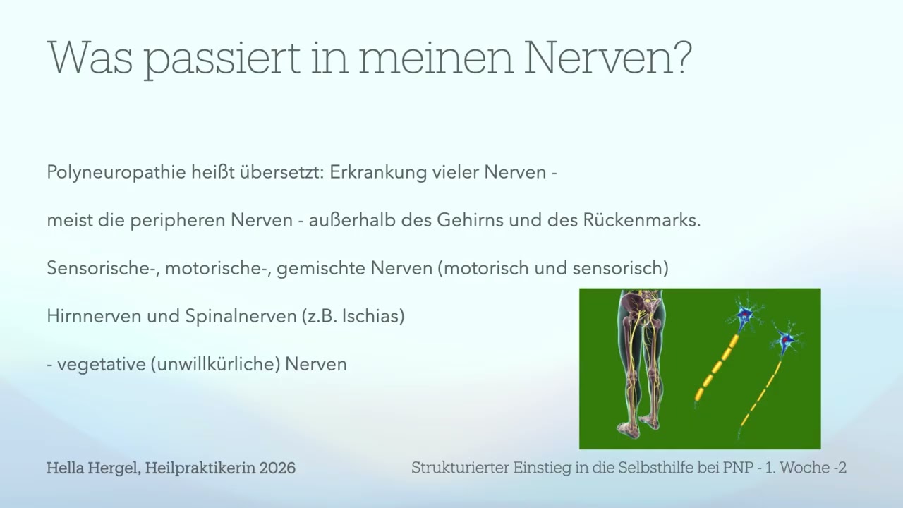 Einstiegskurs Polyneuropathie 1 Woche 2. Lektion