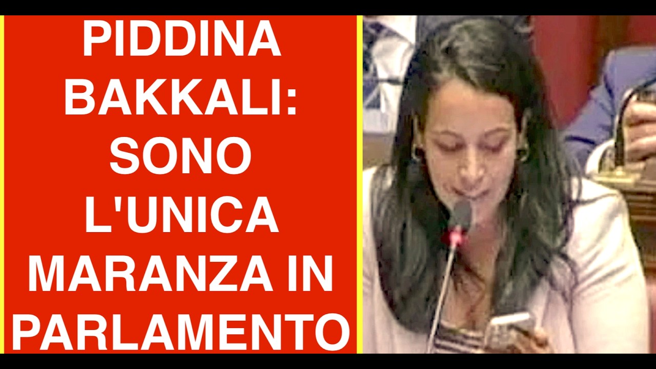PIDDINA BAKKALI: SONO L'UNICA MARANZA IN PARLAMENTO