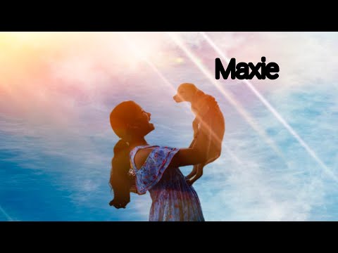 ll Introducing Maxie ll new family member ll ❤️