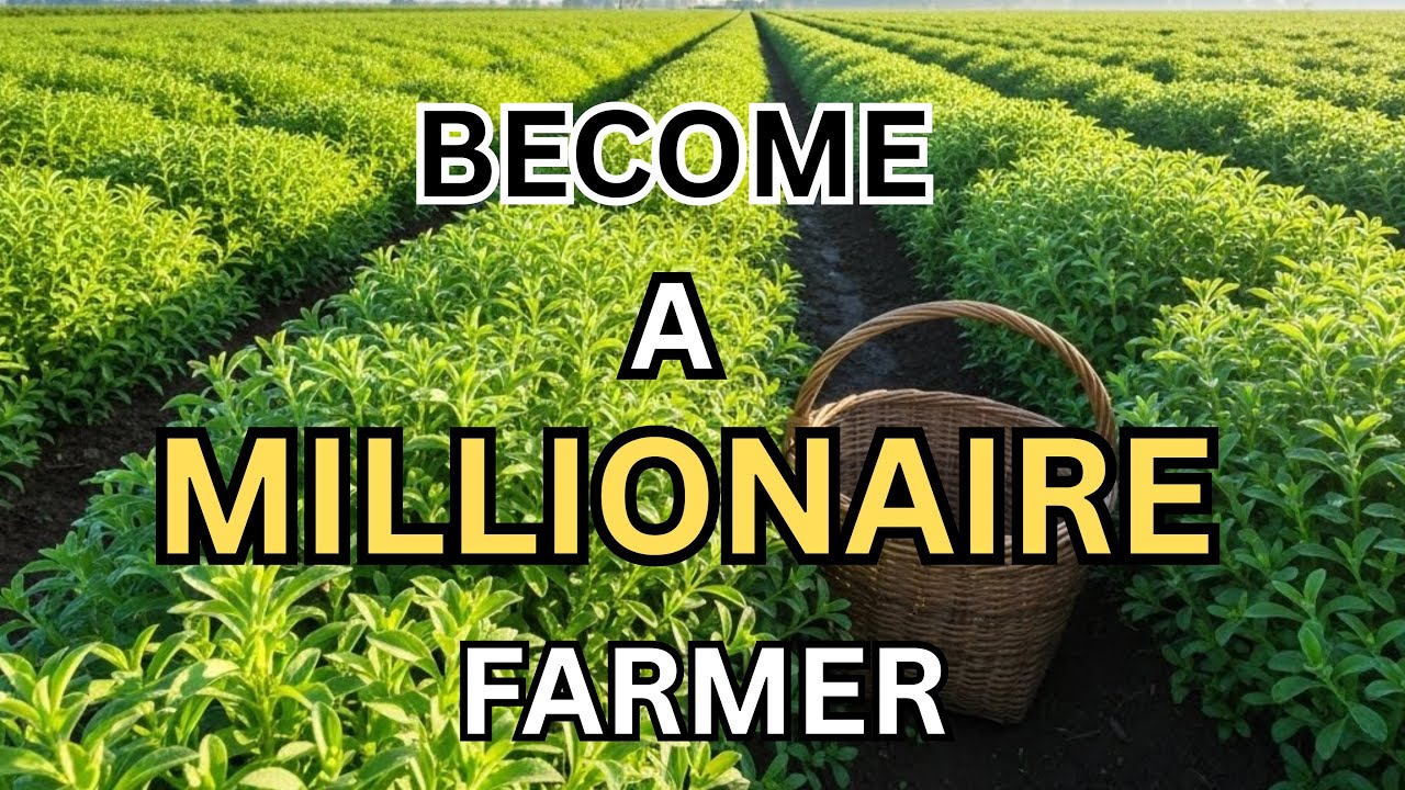 6 High Profit Crops Turning Ordinary Farmers Into Millionaires