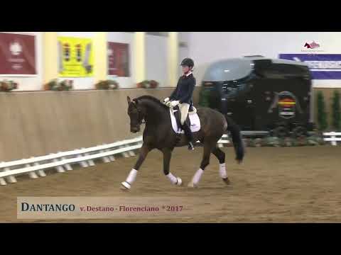 Dantango v. Destano - Florenciano