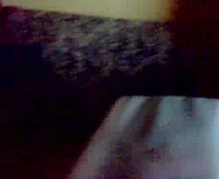 Unusual pirate station in summer eskip