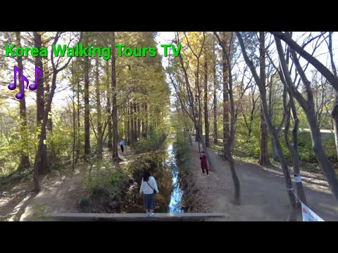 Passeio a pé pela Coreia | Jardim Gyeongbuk Chunyensup em Gyeongju