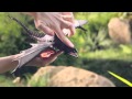 DreamWorks Dragons Action Dragons Toy Commercial