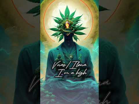 Vnas/Ilona - Im a high (new2023)