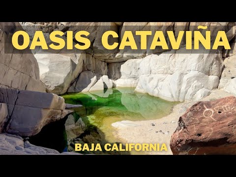 El Oasis de Cataviñá y la Misión Olvidada del Desierto de Baja California