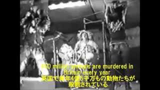 日本語字幕付 EXTREME NOISE TERROR  &quot;Murder!!!!&quot;(1986)