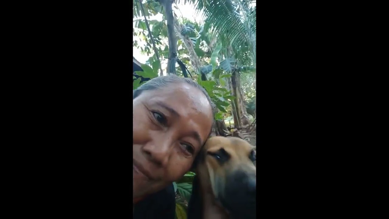 Putar video wag magtapon ng basura kahit saan sekarang wag magtapon ng basura kahit saan