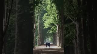 A Walk Through Haarlem’s Oldest Park in 1913