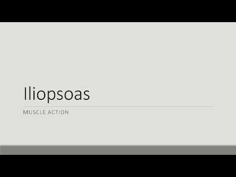 Iliopsoas Action