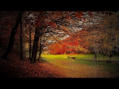 Beautiful Autumn Music - October