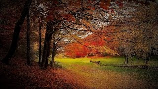 Beautiful Autumn Music - October