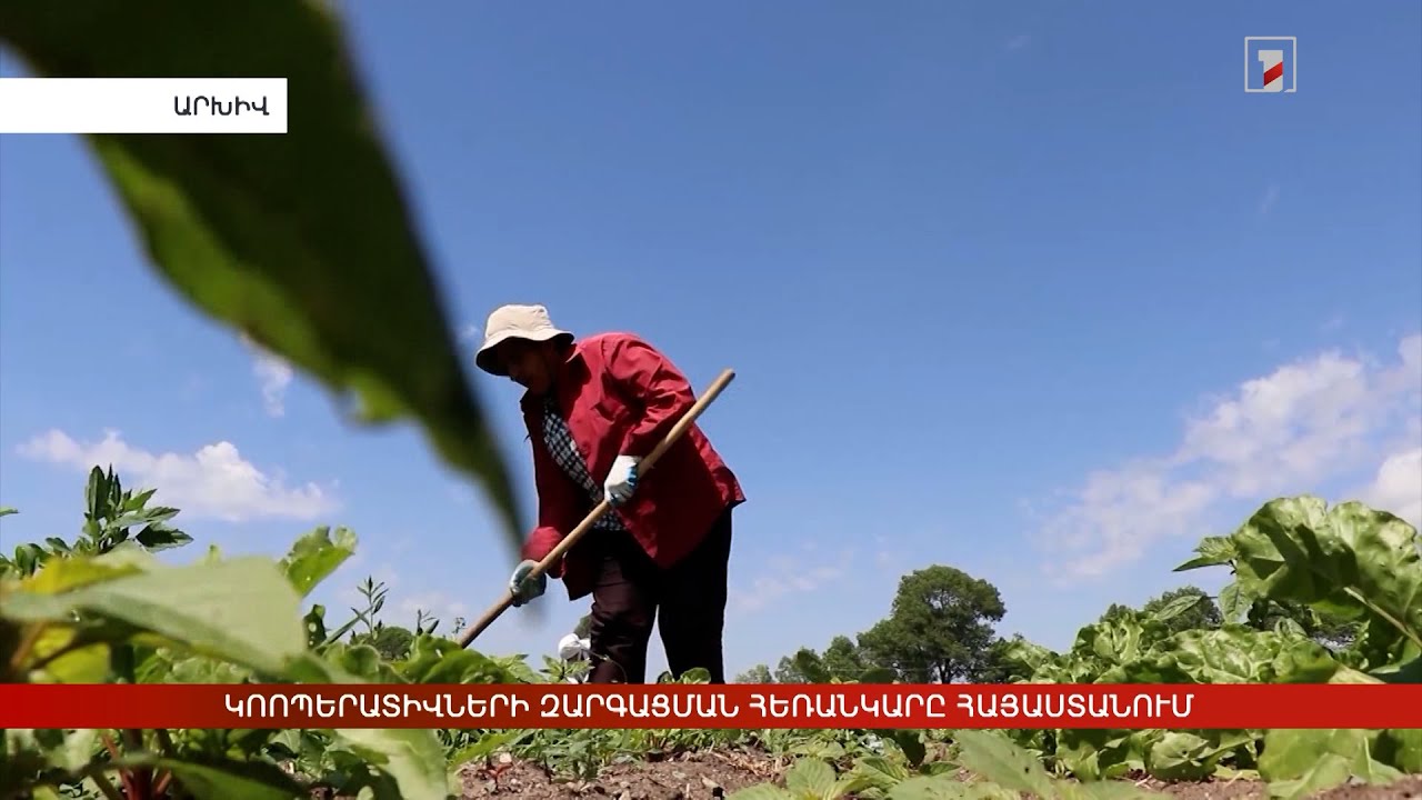 Կոոպերատիվների զարգացման հեռանկարը Հայաստանում