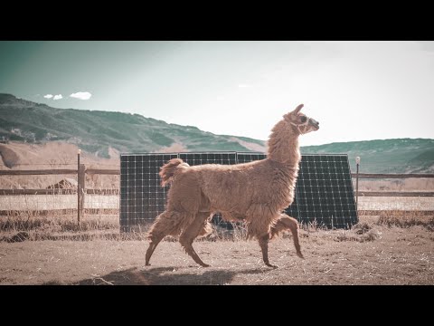 Our Lives are Powered by the Sun