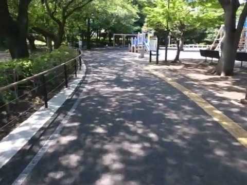 Sakura Shadows - (120626)