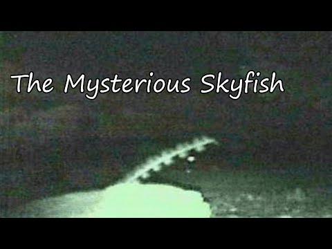 The Mysterious Skyfish/Rods
