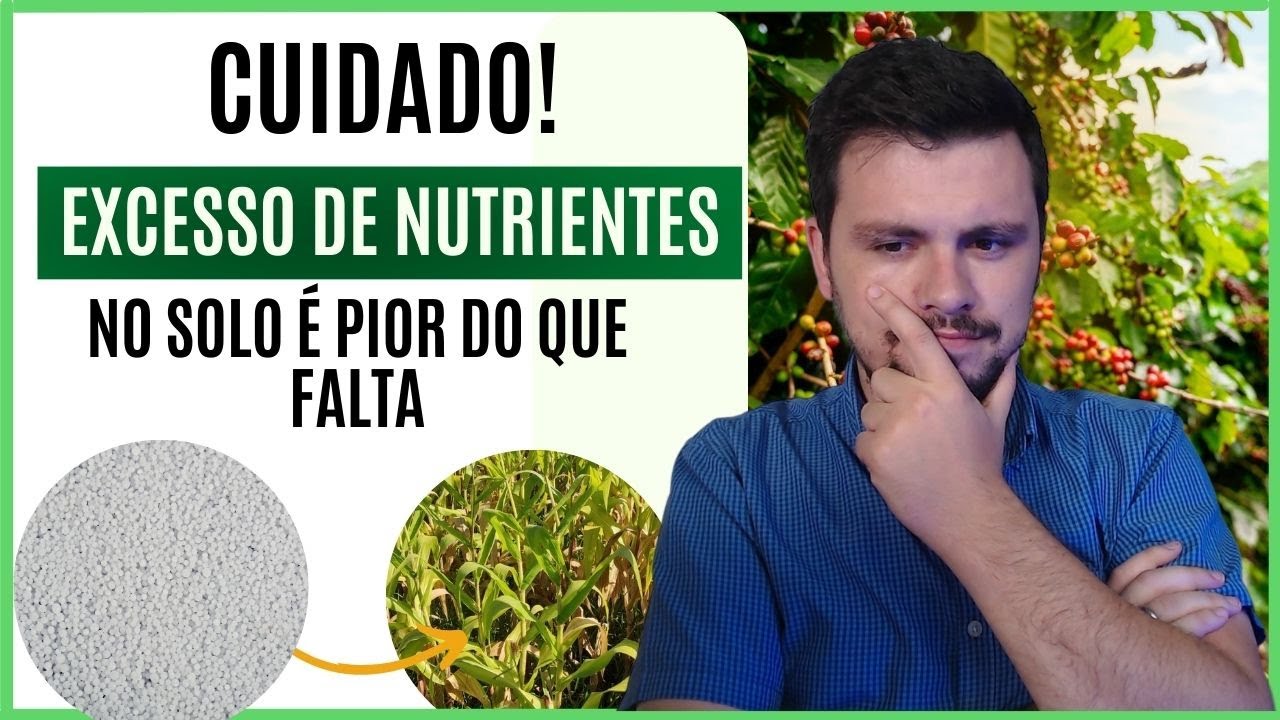 EXCESSO DE NUTRIENTES afeta a produção agrícola