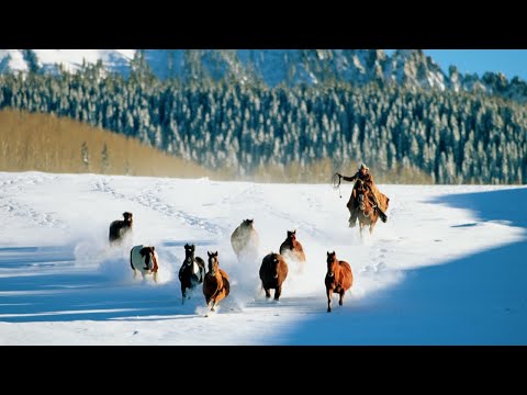 The Western Photography of Christopher Marona