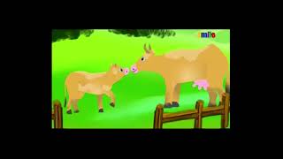 Mary Rice Hopkins Music Video Watch It Grow