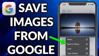 How To Download Images From Google On iPhone