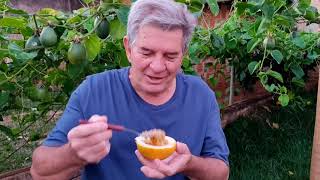 Veja O Rei dos Maracujás