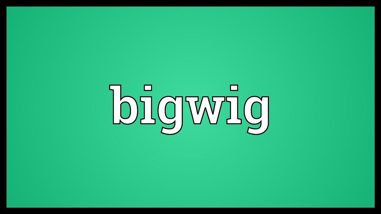Bigwig Meaning