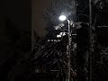 Koi Bhi Aisa Lamha Nahi Hai Lyrics Status Aesthetic Status Whatsapp Status