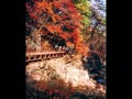 韓國紅葉korea autumn leaves 