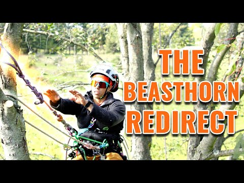 Tree Climbing Tricks: SRT/SRS BeastHORN Redirect