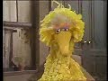 Classic Sesame Street Big Bird And R2D2 Sings I Say Banana 1979