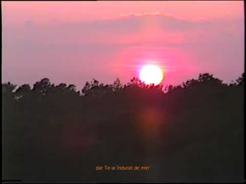 Toni Valimareanu - Măreție