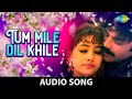 Tu Mile Dil Khile With Lyrics Criminal Kumar Sanu Alka Yagnik Nagarjuna Manisha Koirala
