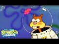 Sheriff Sandy Cheeks Slice Of Texas Ep 2 SpongeBob