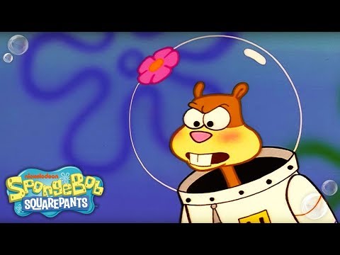 Funny animated cartoons - Spongebob Squarepants